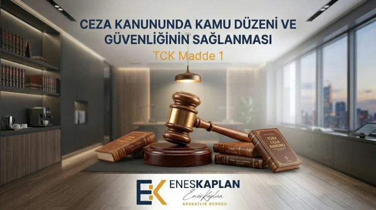 Ceza Kanununda Kamu Düzeni ve Güvenliğinin Sağlanması - TCK Madde 1