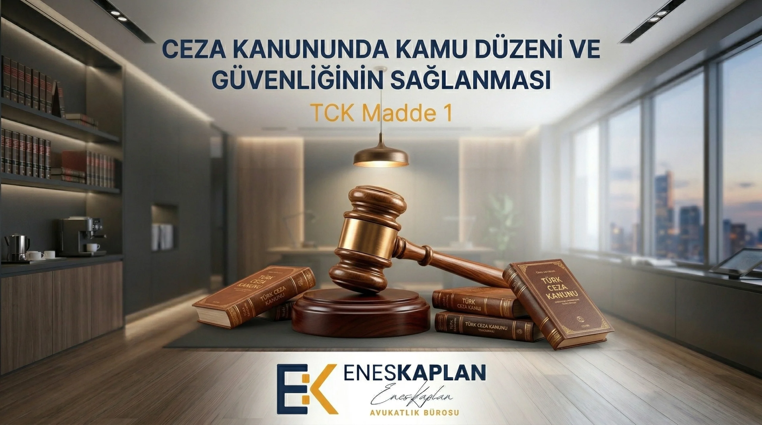 Ceza Kanununda Kamu Düzeni ve Güvenliğinin Sağlanması - TCK Madde 1